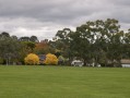 0413-1216 Canberra autumn (4137841)